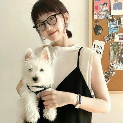 死党老窦系冤家