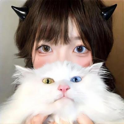 室井慎次 不败之人